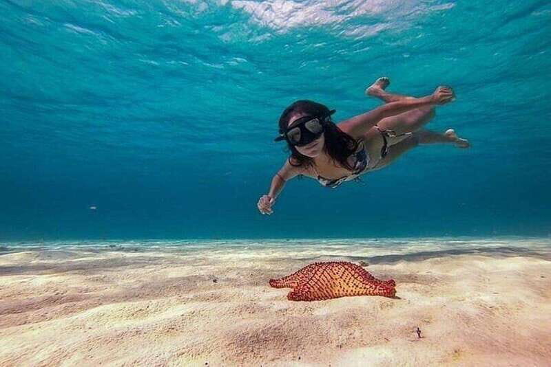 Cozumel: Glass-bottom Boat Snorkeling Adventure - Who Should Consider This Tour?