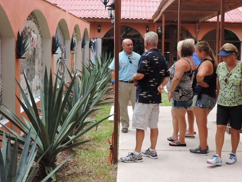 Cozumel: Historical Driving Tour by VW Buggy with Snorkeling - Key Points
