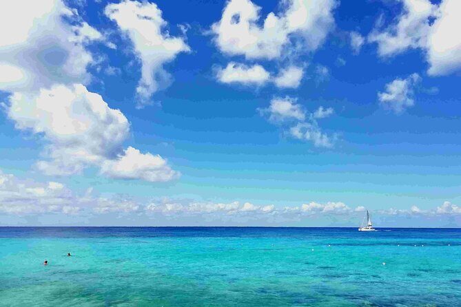 Cozumel Island Tour: Mayan Ruins, Reefs, and Beach Escape - Key Points