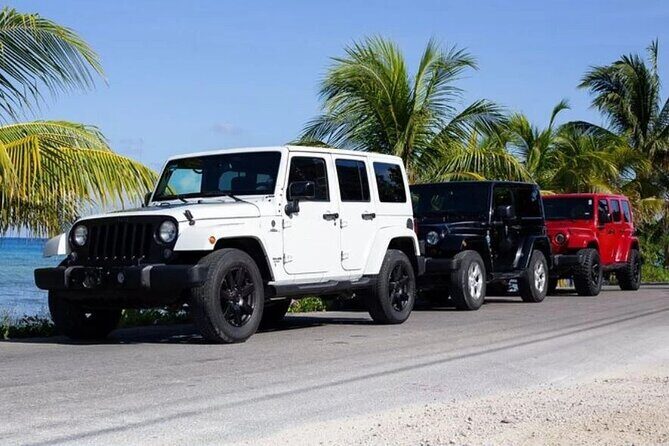 Cozumel Jeep 4x4 Tour South Tip with Lunch and Snorkel - A Detailed Look at the Tour Experience