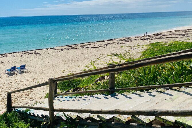 Cozumel Jeep Adventure Cenote Jade & Mayan Experience OTOCH - FAQ