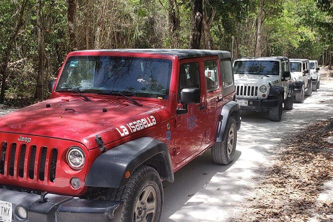 Cozumel Jeep Adventure to Jade Caverns with Lunch and Snorkel - Authentic Experiences That Matter