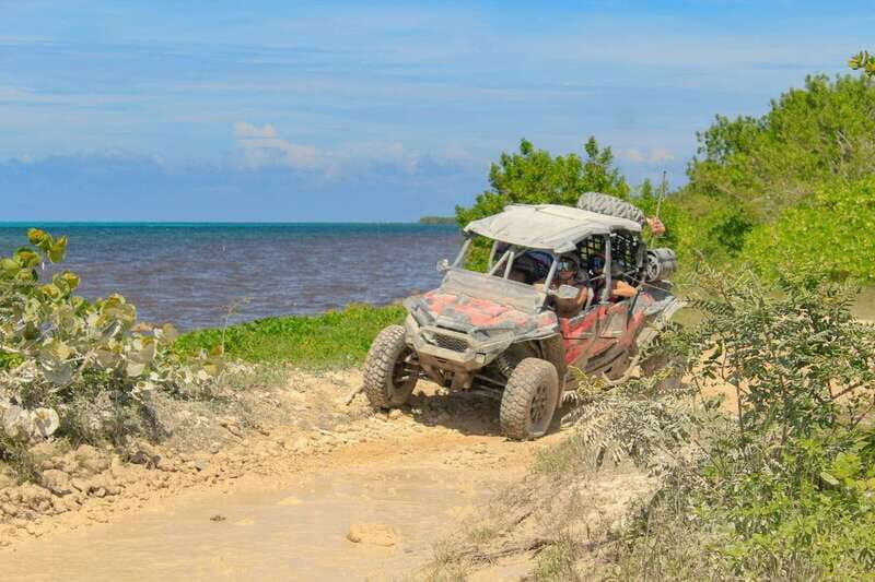 Cozumel: Jeep & Xrail Adventure Excursion - Introduction: A Dynamic Day on Cozumel