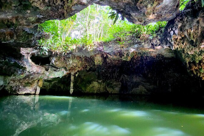Cozumel Jungle ATV Tour Adventure and Caverns with transfer - A Closer Look at What You’ll Experience