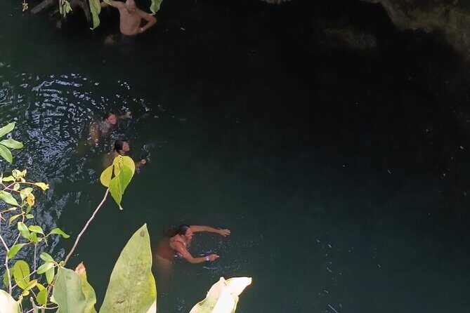 Cozumel Jungle ATV Tour Adventure and Caverns with transfer - El Cedralito and Tasting Local Flavors