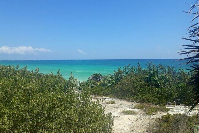 Cozumel: Mayan Jeep Tour Private Lunch Snorkeling Tour - Final Thoughts