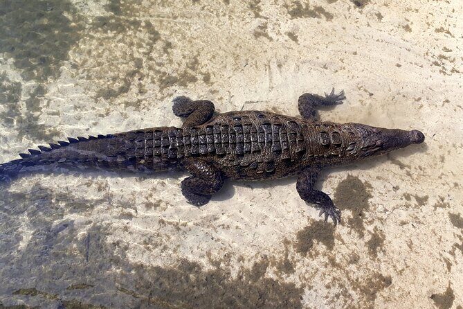 Cozumel National Park and Beach Break: Private Tour - The Sum Up