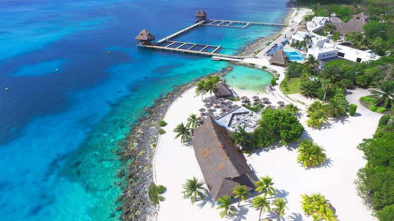 Cozumel: One Tank Scuba Dive and Full Chankanaab Park Access - Authentic Feedback from Participants