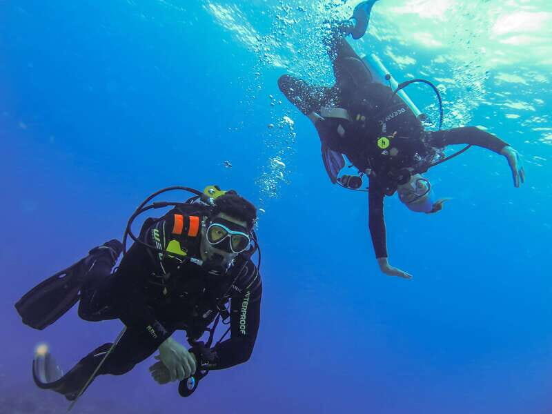 Cozumel: One Tank Scuba Dive and Full Chankanaab Park Access - In The Sum Up: Who Is This Tour Best For?