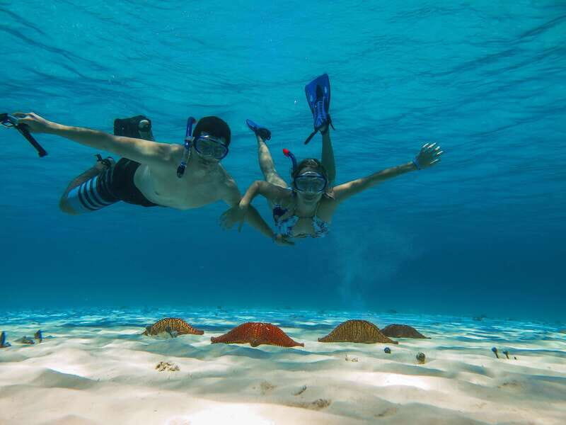 Cozumel: Palancar, Columbia and Cielo Reefs Snorkeling Tour - Key Points