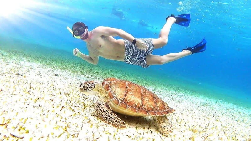 Cozumel: Palancar, Columbia and Cielo Reefs Snorkeling Tour - What Reviews Say About This Tour