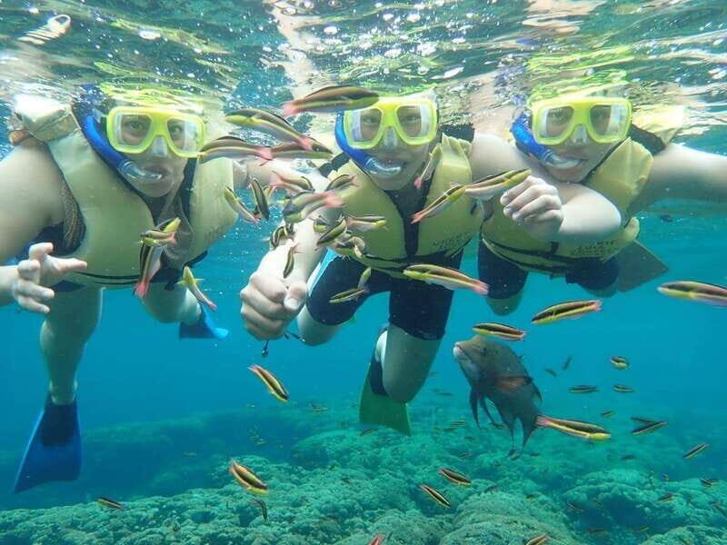 Cozumel: Palancar, Columbia and Cielo Reefs Snorkeling Tour - Who Should Book This Tour?