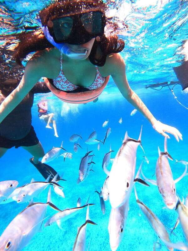 Cozumel: Palancar, Columbia and Cielo Reefs Snorkeling Tour - Summary