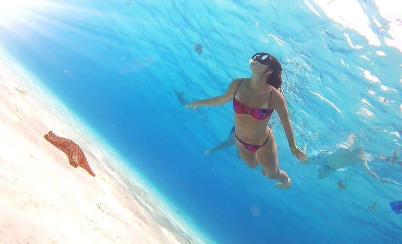 Cozumel: Palancar, Columbia and Cielo Reefs Snorkeling Tour - FAQs