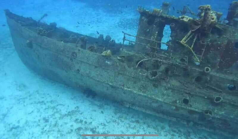 Cozumel, Passion Island: 4-Hour Private Tour - Practical Considerations: Is This Tour Right for You?