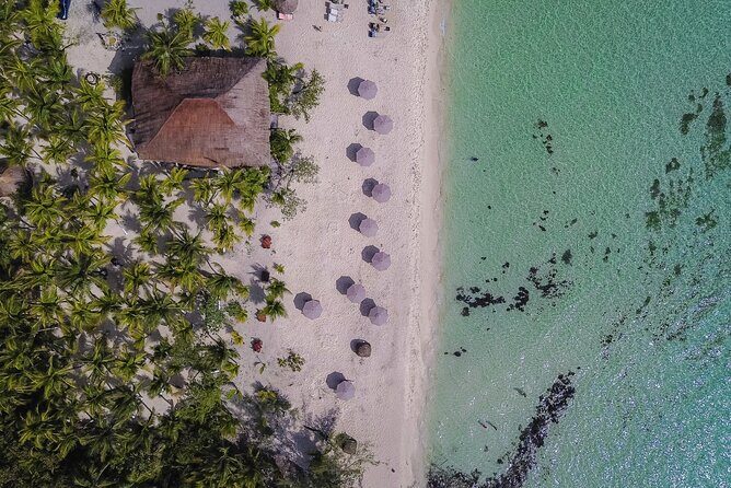 Cozumel Playa Palancar VIP All Inclusive Day Pass - What to Expect from Your Day at Playa Palancar