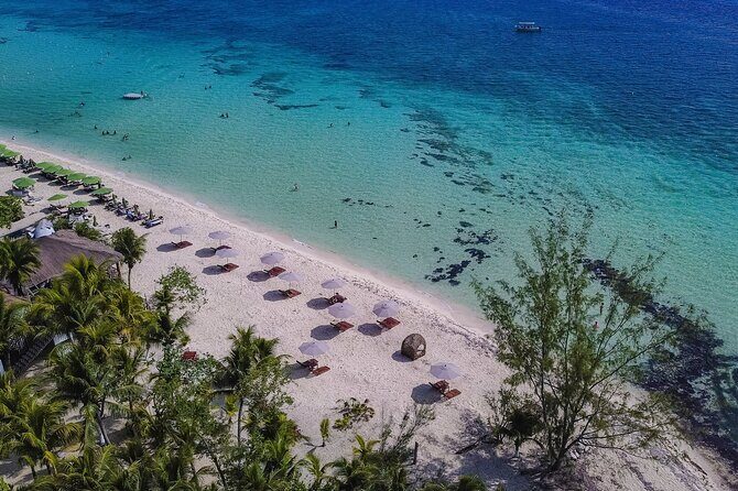 Cozumel Playa Palancar VIP All Inclusive Day Pass - Comparisons and Alternatives
