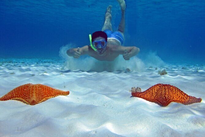 Cozumel Private 4-hour Boat Tour to El Cielo with Snorkeling - An Honest Look at the Itinerary and Experience