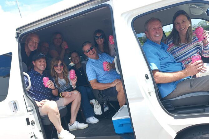 Cozumel Private Airport Transfer - What to Expect from the Cozumel Private Airport Transfer