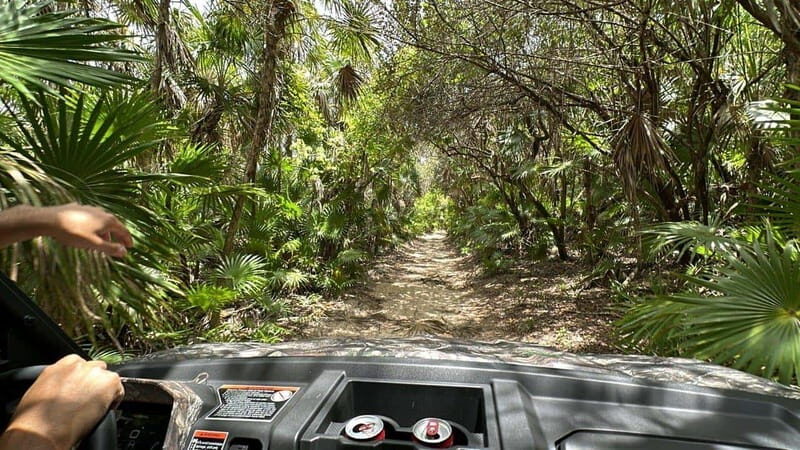 Cozumel: Private All Terrain Buggy Adventure at Virgin Beach - Why This Tour Stands Out