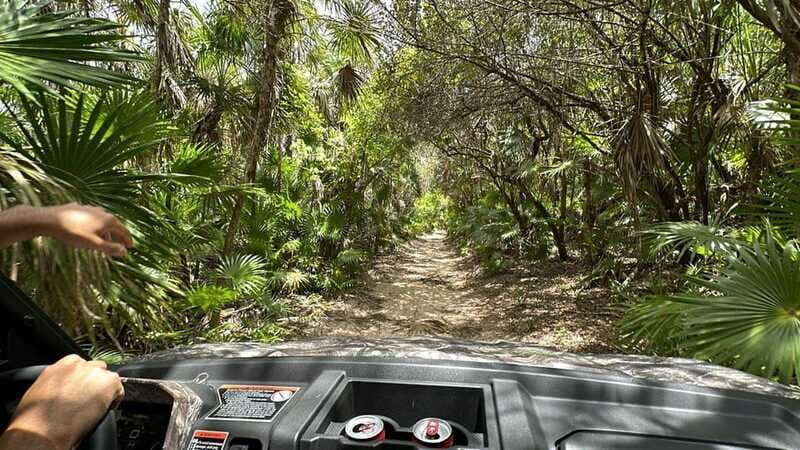 Cozumel: Private All Terrain Buggy Adventure at Virgin Beach - Who Should Consider This Tour?