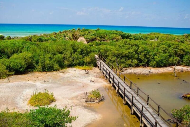 Cozumel: Private Buggy Tour to Punta Sur Park All Inclusive - The Value of This Tour