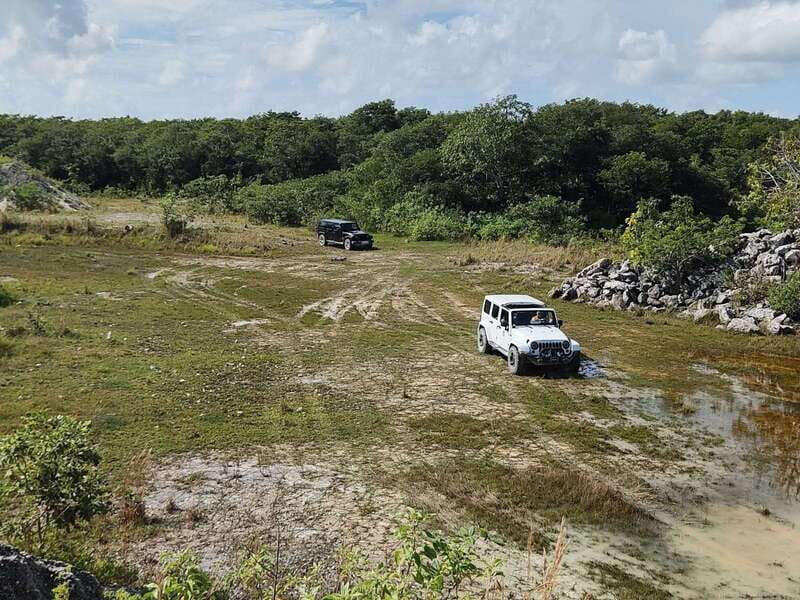 Cozumel: Private Caves and Ruins Tour with Lunch 5 Hours - An Authentic Adventure in Cozumel’s Jungle