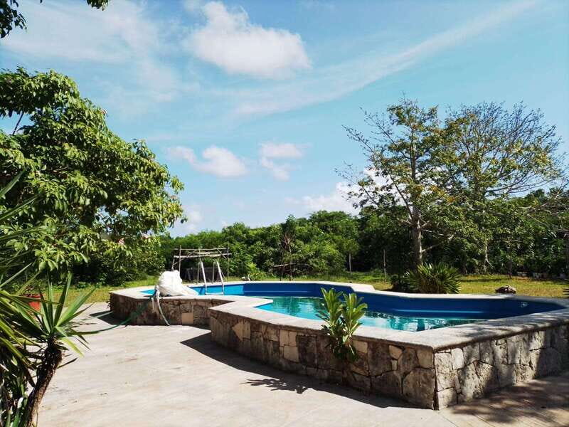 Cozumel: Private Caves and Ruins Tour with Lunch 5 Hours - Who Will Enjoy This Tour?
