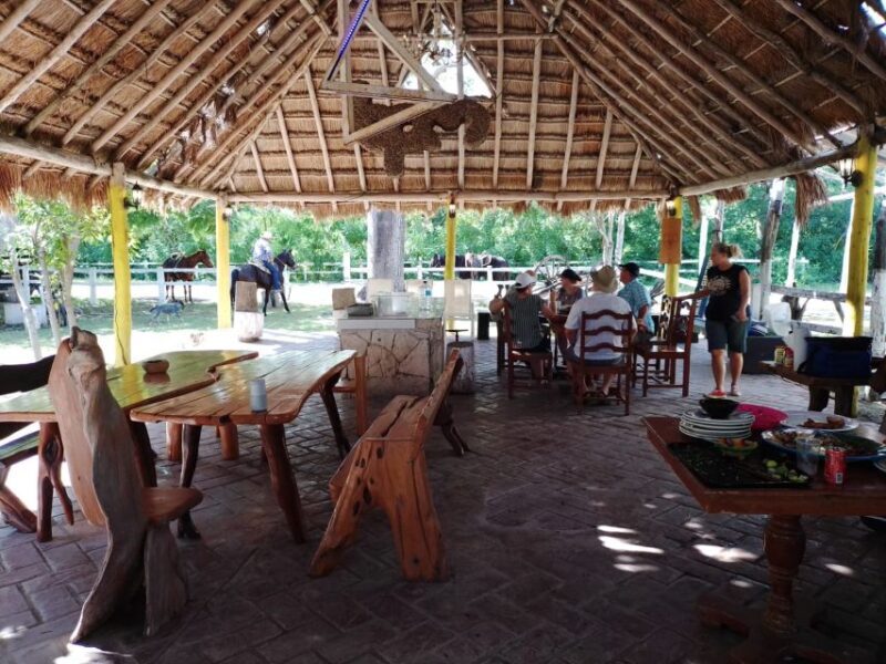 Cozumel: Private Caves and Ruins Tour with Lunch 5 Hours - Frequently Asked Questions
