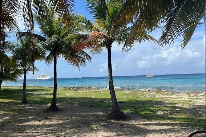 Cozumel: Private Jeep Tour, Mayan Ruins, Snorkeling & Lunch - Who Is This Tour Best For?