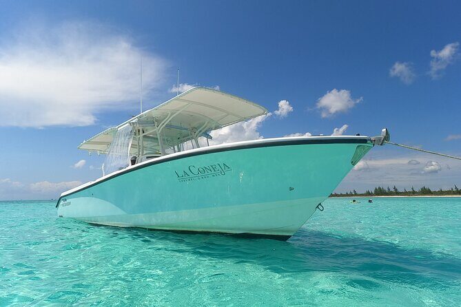Cozumel Private Snorkeling and Charter Experience - The Experience: What Guests Are Saying