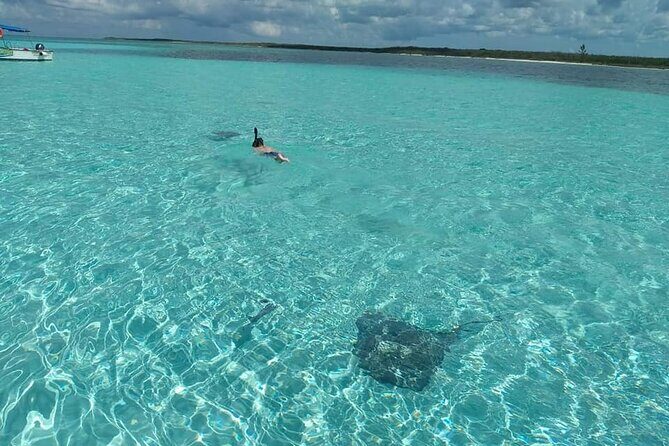 Cozumel Private Snorkeling, Fishing & El Cielo Charter - FAQs
