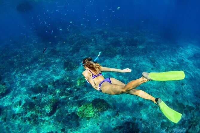 Cozumel Reef Snorkeling Tour - FAQ
