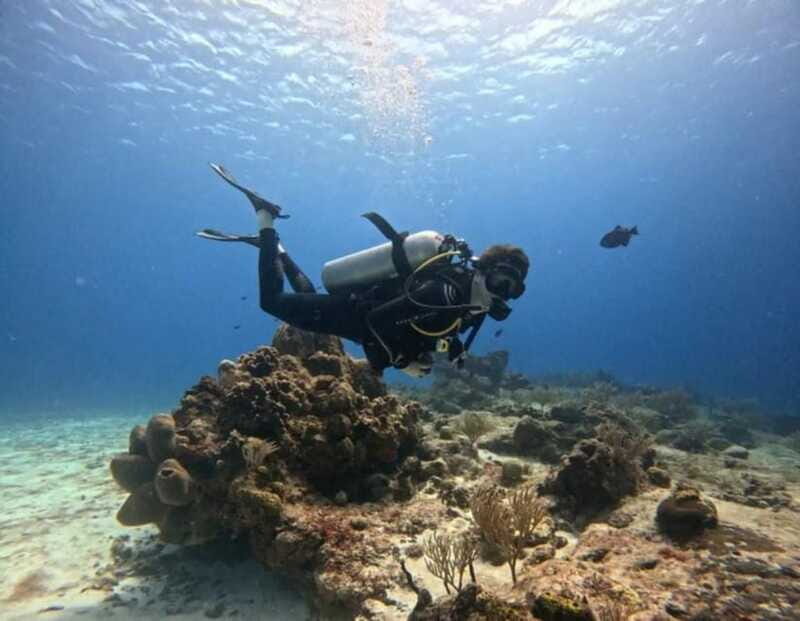 Cozumel Scuba Diving: 2 Tanks in the National Park for certified divers - Price and Value: Is It Worth It?