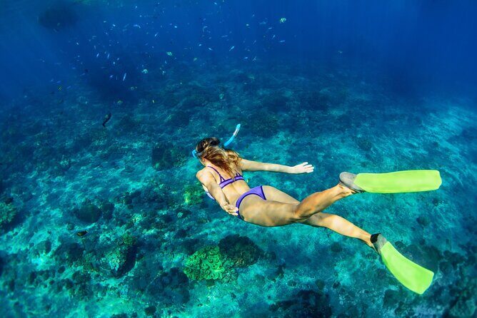 Cozumel Sea Safari Snorkeling Tour - Duration and Group Size: Managing Expectations