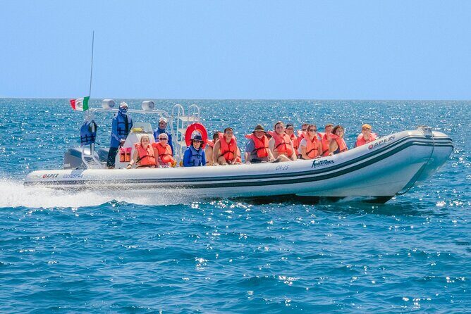 Cozumel Sea Safari Snorkeling Tour - Final Summary: Who Will Love This Tour?