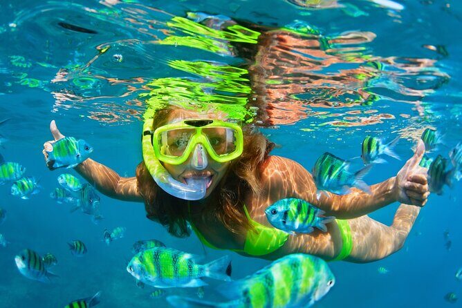 Cozumel Sea Safari Snorkeling Tour - FAQs