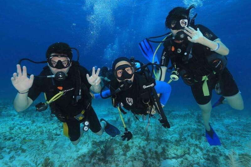 Cozumel: Shipwreck and Reef Dive with Lunch - What Makes This Tour Stand Out