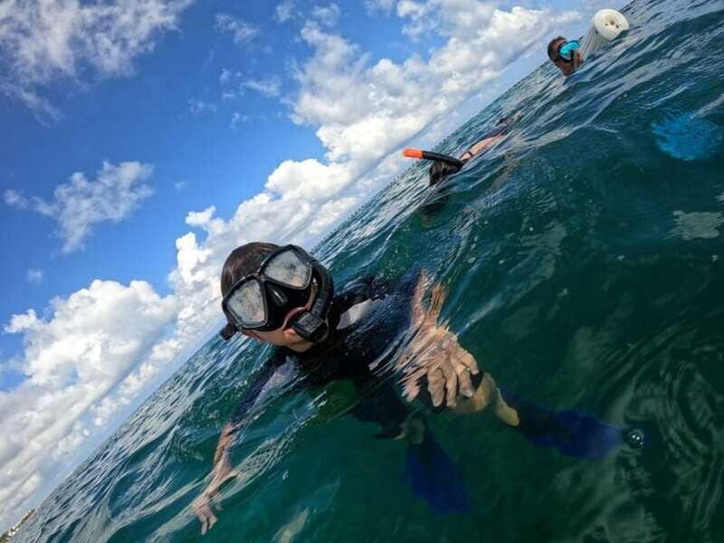 Cozumel: Shipwreck and Reef Dive with Lunch - The Sum Up