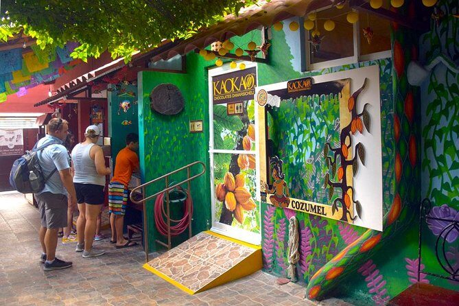 Cozumel Shore Excursion: 5-Hour Sightseeing Tour with Private Driver - Who Should Consider This Tour?