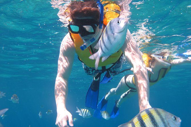 Cozumel Shore Excursion: Playa Uvas Private Beach Pass - The Value Proposition: Is It Worth It?
