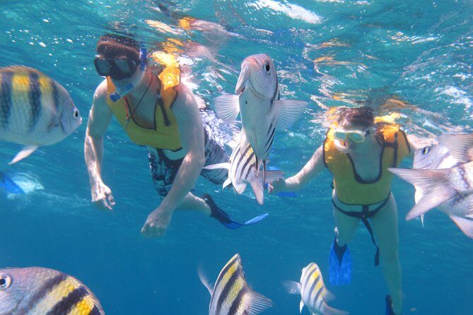 Cozumel Shore Excursion: Playa Uvas Private Beach Pass - The Sum Up: A Relaxed, Authentic Cozumel Experience