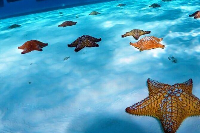 Cozumel: Snorkel at El Cielo, Colombia Reef & Palancar Reef - What the Tour Means for You