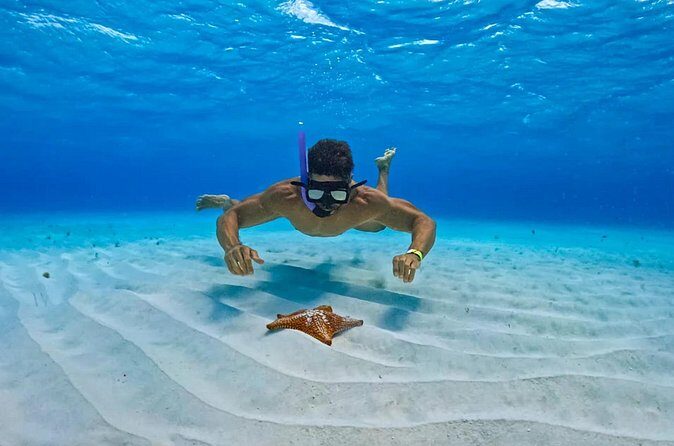Cozumel: Snorkel at El Cielo, Colombia Reef & Palancar Reef - FAQ