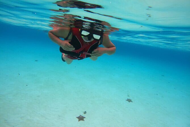 Cozumel Snorkel Nature Experience! Transportation from Cancun & Playa Del Carmen - Arriving at the Heart of Cozumel’s Underwater World