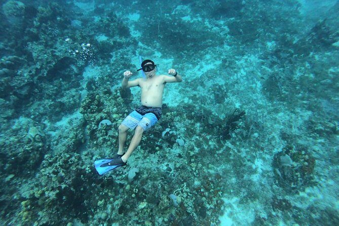 Cozumel Snorkel Nature Experience! Transportation from Cancun & Playa Del Carmen - The Value of the Experience