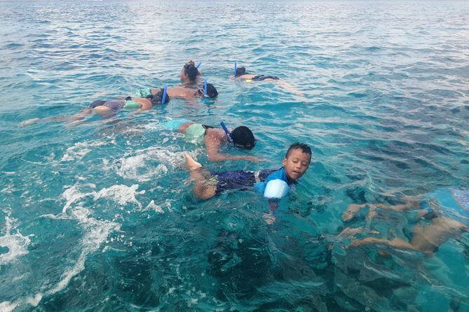 Cozumel Snorkel Nature Experience! Transportation from Cancun & Playa Del Carmen - Who Should Consider This Tour?