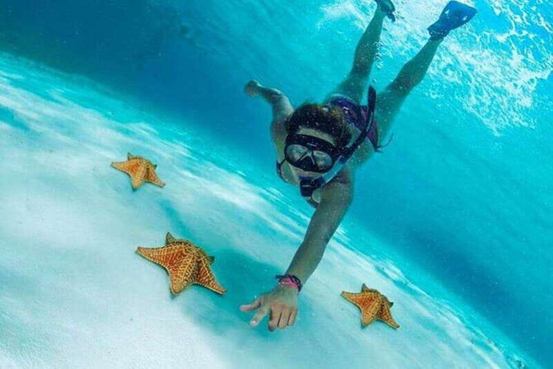 Cozumel: Snorkel Tour to El Cielo, Palancar, and Colombia - FAQ