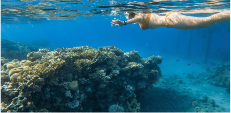 Cozumel: Snorkeling Adventure - Pricing and Value
