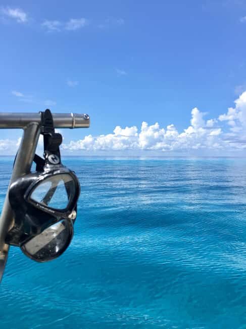 Cozumel: Snorkeling Boat Tour - The Experience in Detail